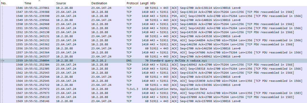 Malicious Domain DNS Query