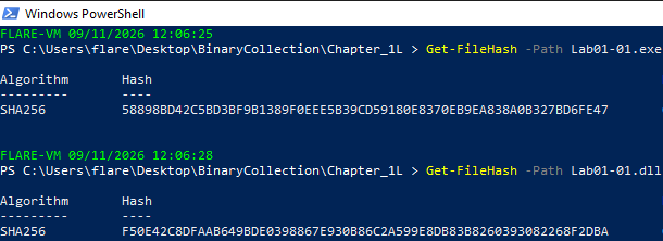 file hashes